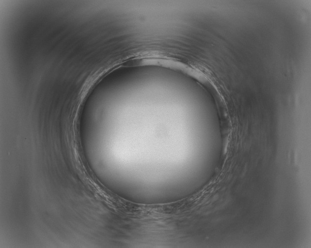 X0000076060289200610061543