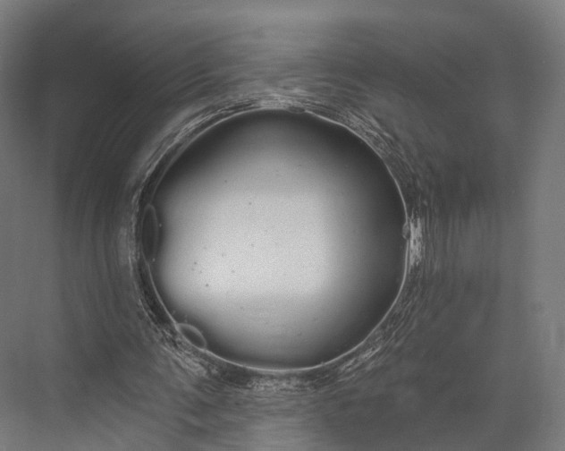 X0000076060291200610061543