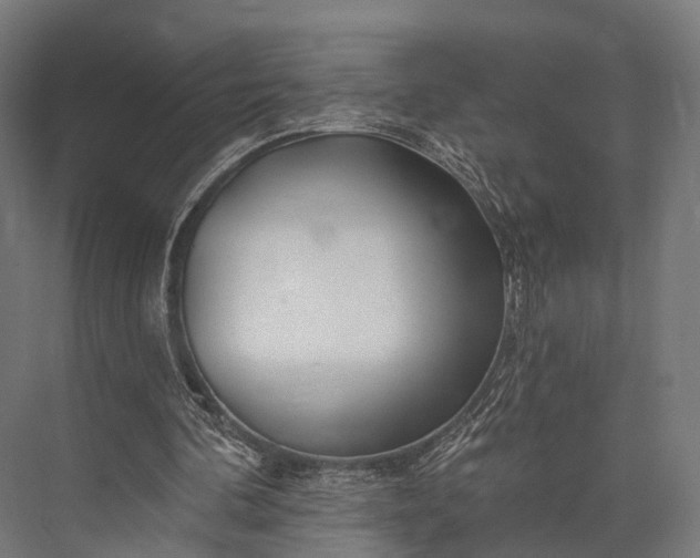 X0000076060292200610061543