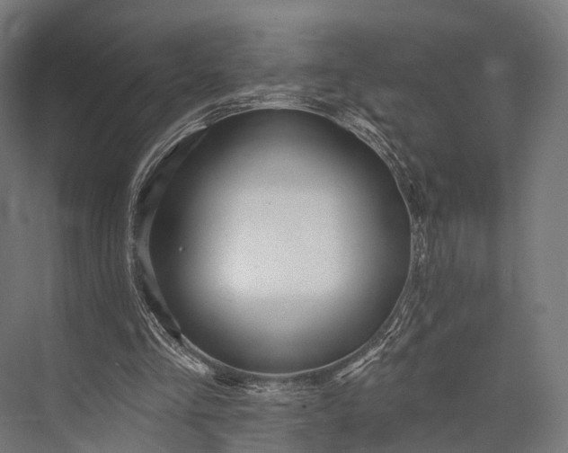 X0000076060293200610061543