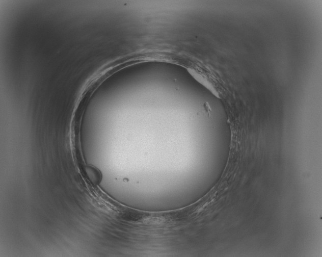 X0000076060294200610061543