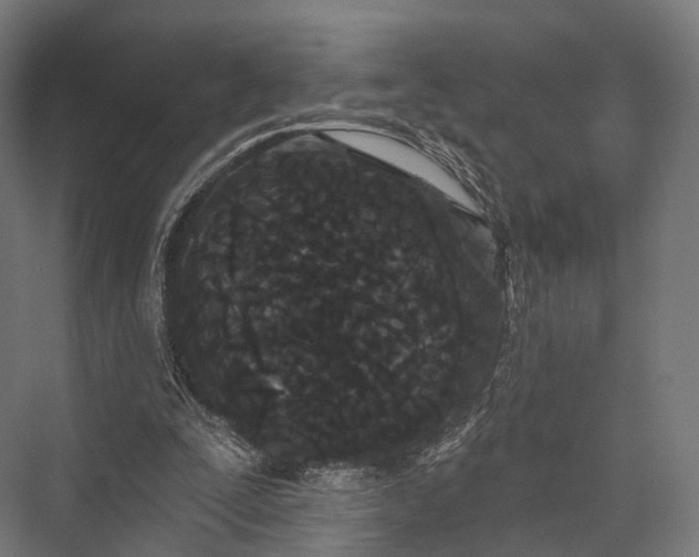 X0000076060295200610061543