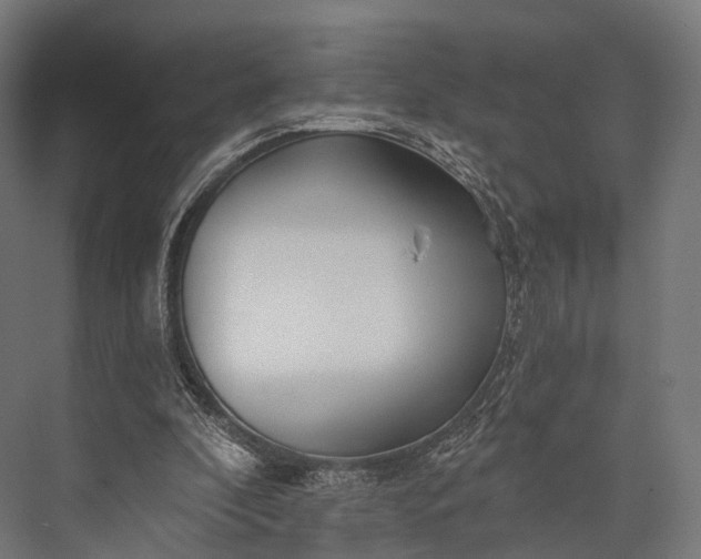 X0000076060296200610061543