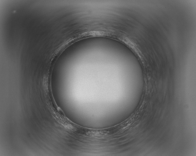 X0000076060297200610061543