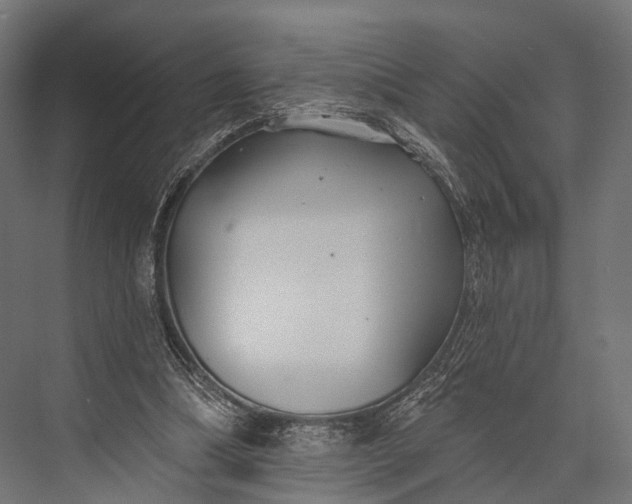 X0000076060298200610061543