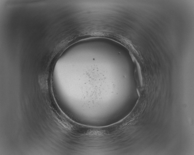 X0000076060299200610061543