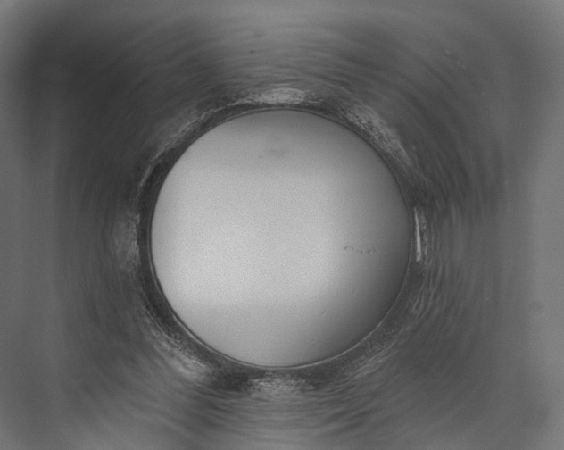 X0000076060300200610061543