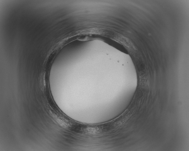 X0000076060302200610061543