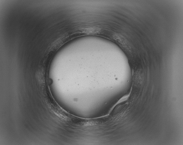 X0000076060303200610061543