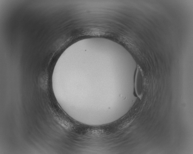 X0000076060304200610061543