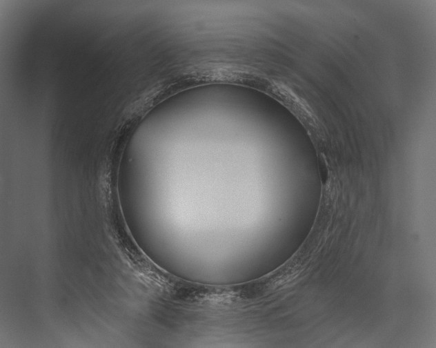 X0000076060306200610061543