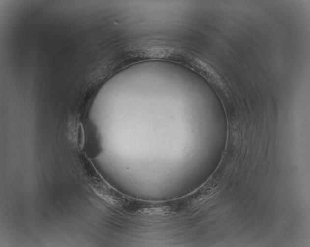 X0000076060307200610061543