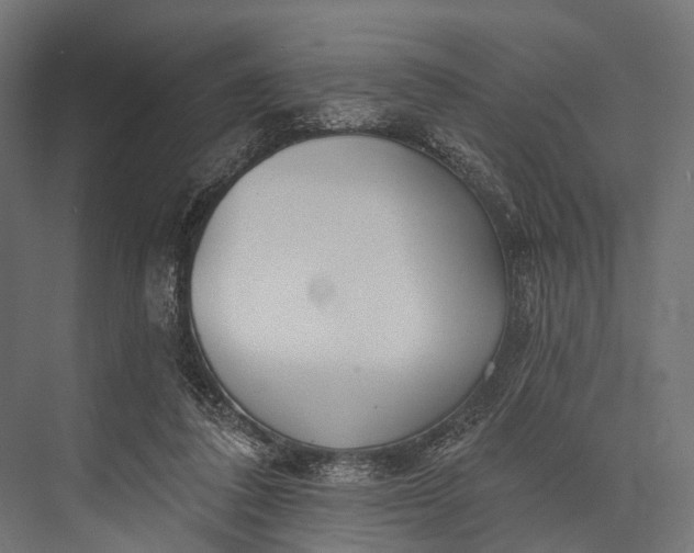 X0000076060308200610061543