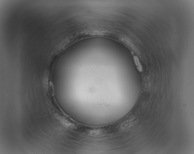 X0000076060309200610061543