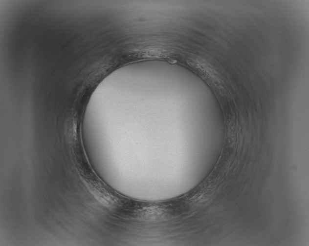 X0000076060310200610061543