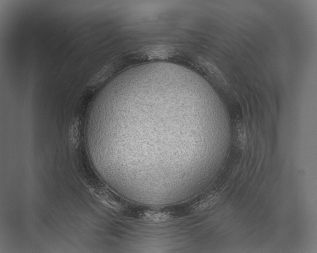 X0000076060311200610061543