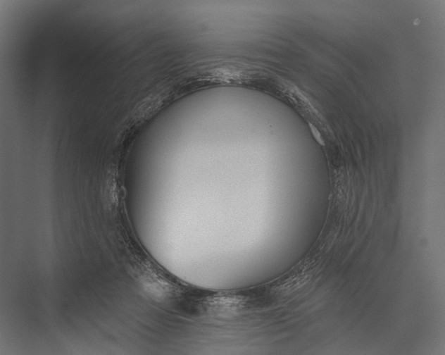 X0000076060313200610061543