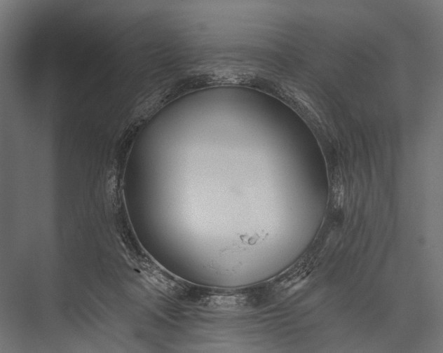 X0000076060314200610061543