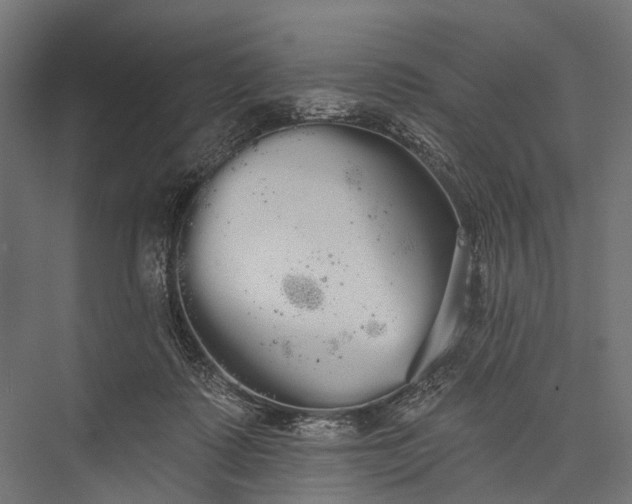 X0000076060315200610061543