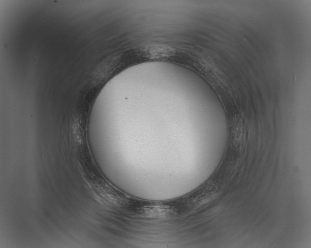 X0000076060316200610061543