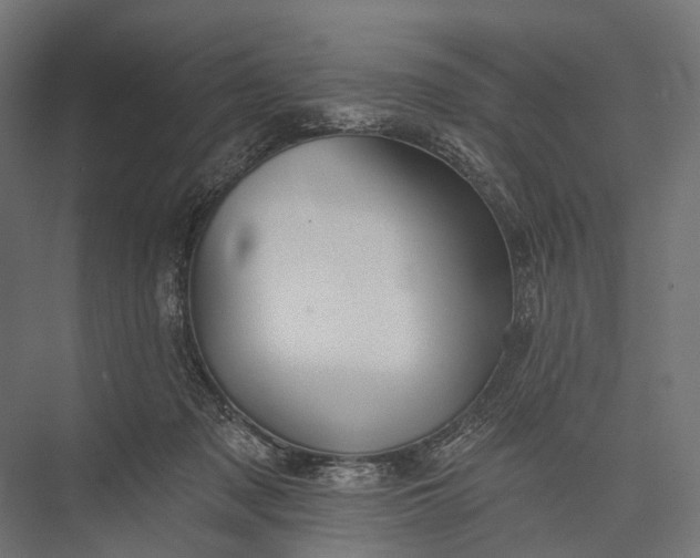 X0000076060317200610061543