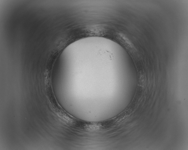 X0000076060318200610061543