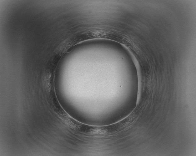 X0000076060319200610061543