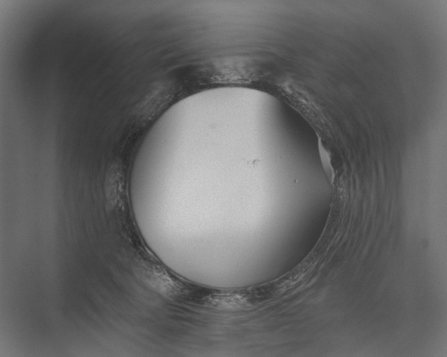 X0000076060322200610061543