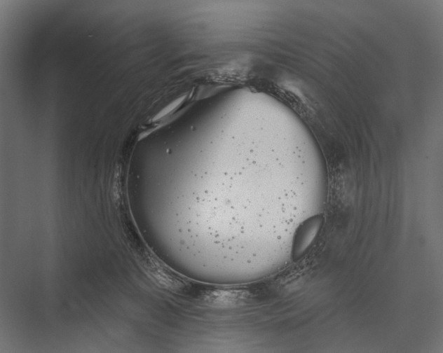 X0000076060323200610061543