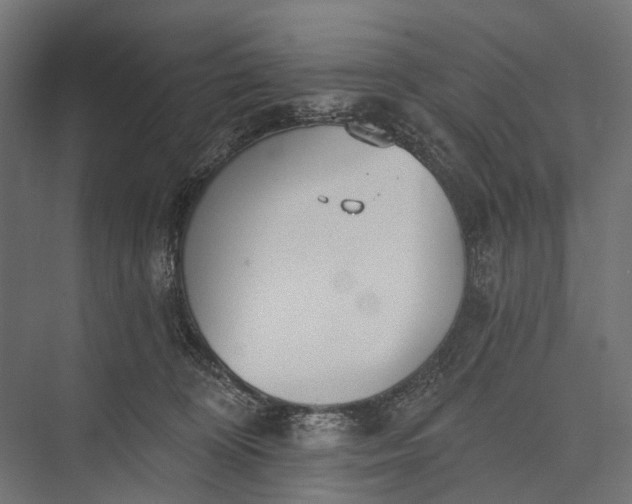 X0000076060324200610061543