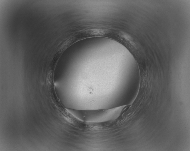 X0000076060325200610061543