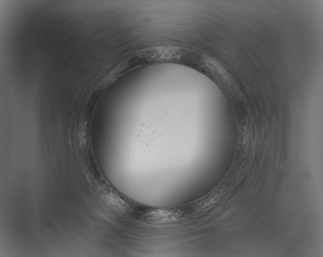 X0000076060326200610061543