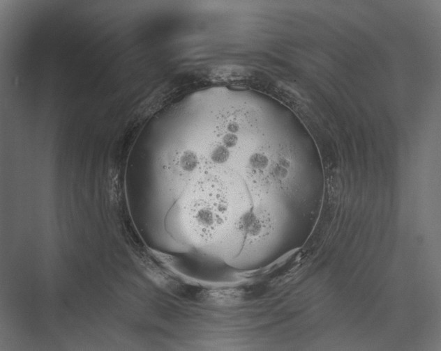 X0000076060327200610061543