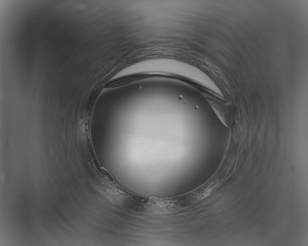 X0000076060329200610061543