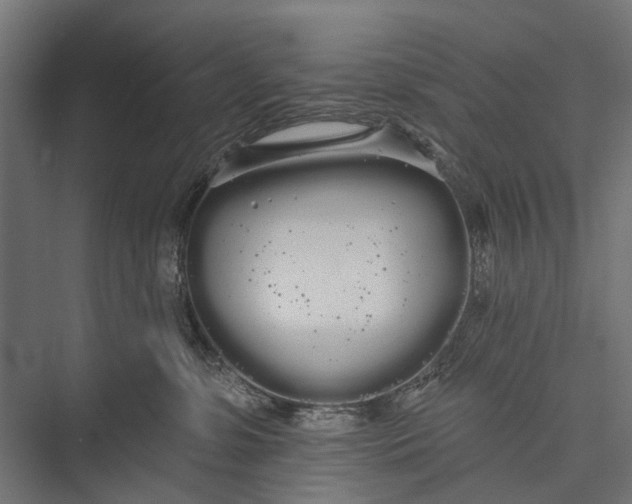 X0000076060331200610061543