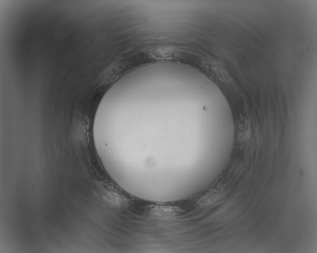 X0000076060332200610061542