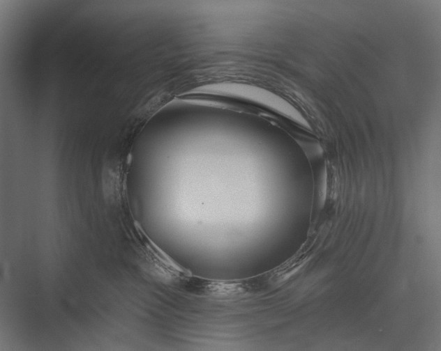 X0000076060333200610061542