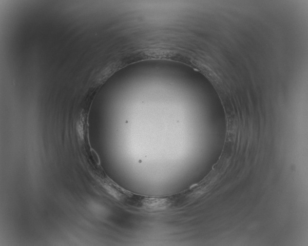 X0000076060334200610061542