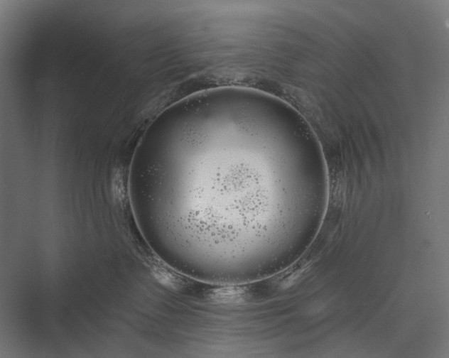 X0000076060335200610061542