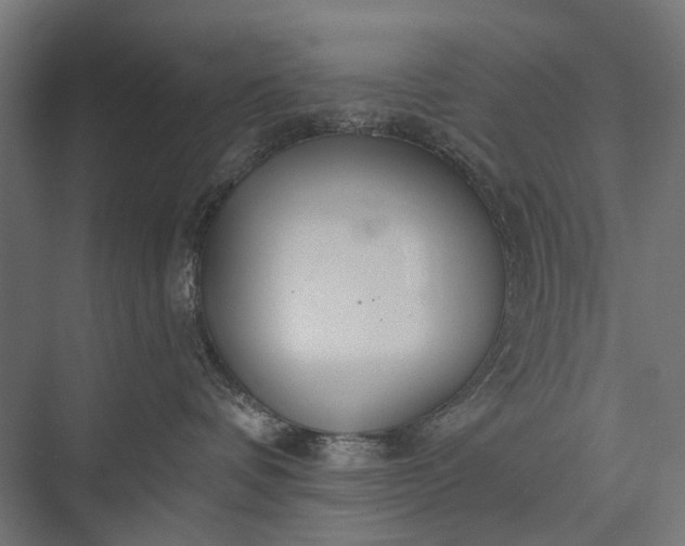 X0000076060336200610061542