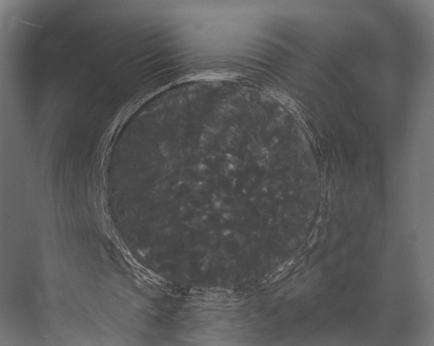 X0000076060337200610061542