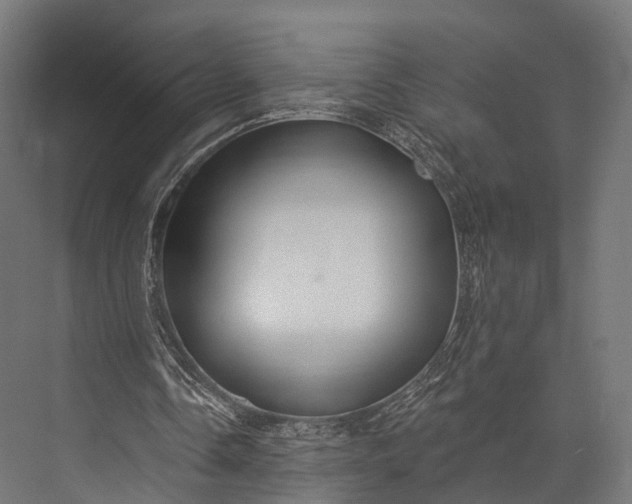 X0000076060338200610061542