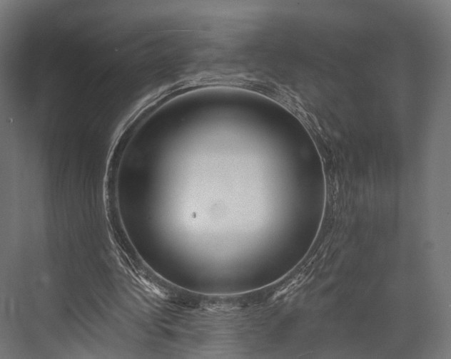 X0000076060340200610061542