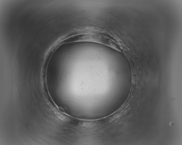 X0000076060341200610061542