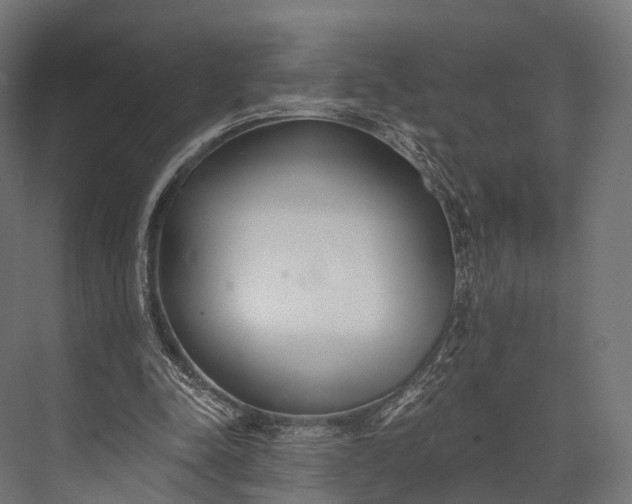 X0000076060342200610061542