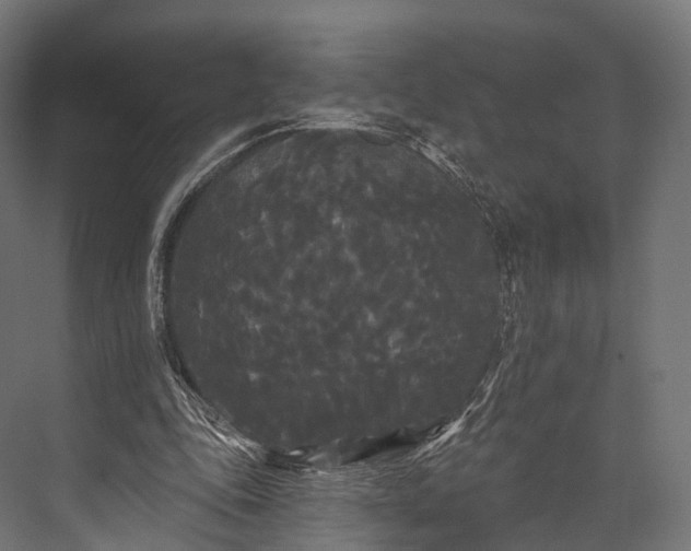 X0000076060343200610061542