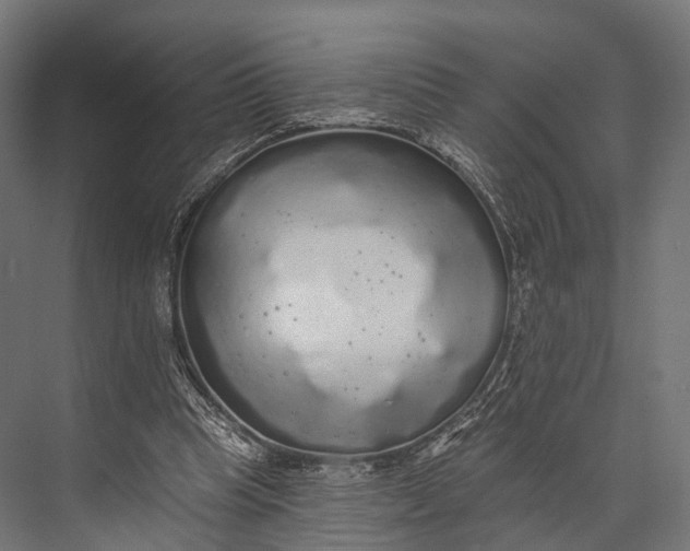 X0000076060345200610061542