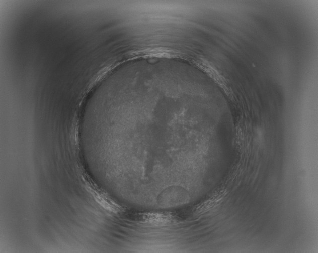 X0000076060347200610061542