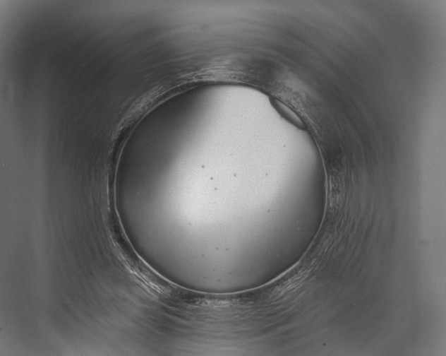 X0000076060349200610061542