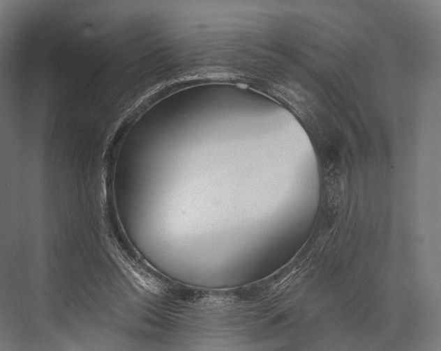 X0000076060350200610061542